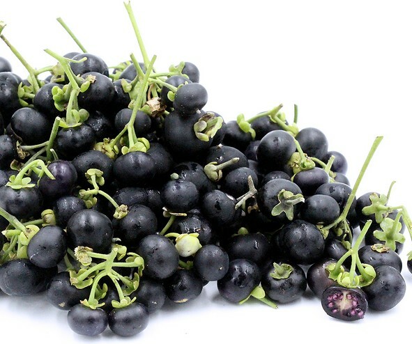 Wonderberry Seeds ~Solanum retroflexum (Burbankii)~ Sunberry~ Garden Huckleberry