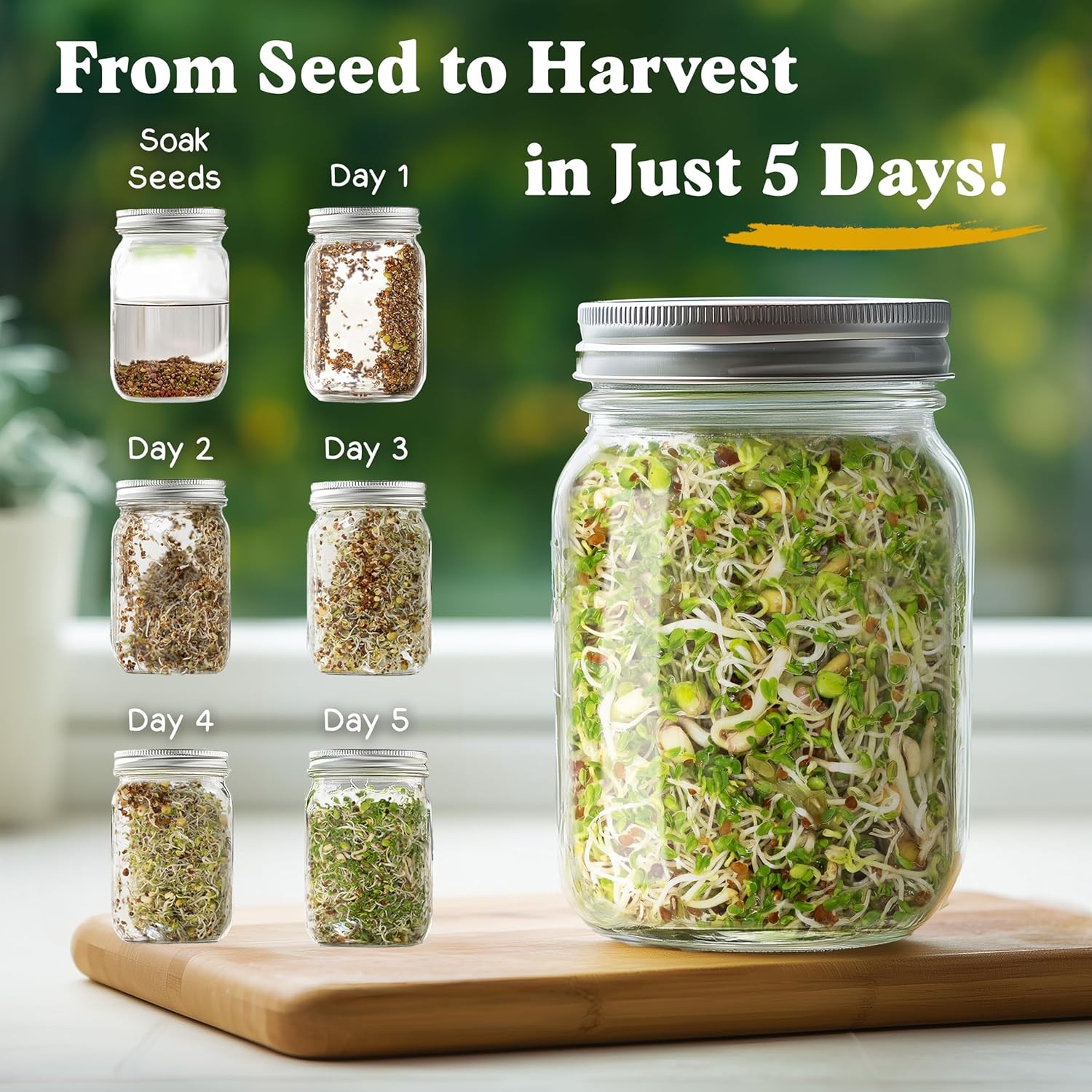 Organic Non-GMO Sprouting Seeds for Fresh Salad Mix – USA Grown Microgreens
