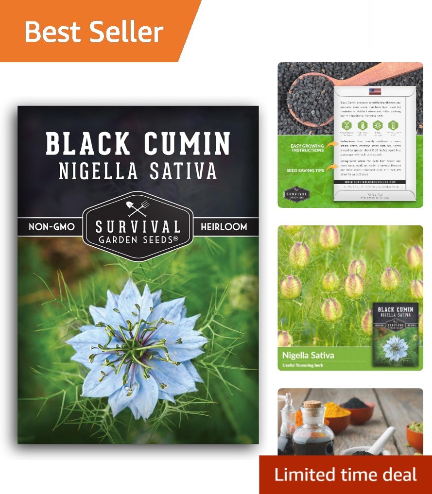 Nigella Sativa Seeds – High Germination Black Cumin for Sustainable Herb Gardens