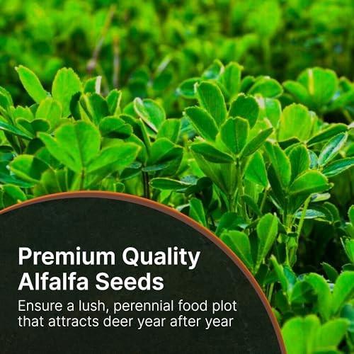 No-Till Alfalfa Food Plot Seeds for Deer – Perennial Seed Mix – 10 lbs, Plant Sp
