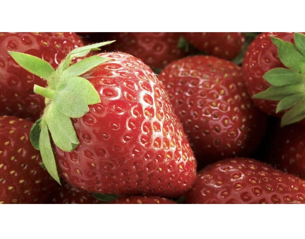 Seeds Giant Strawberry Rare Everbearing Planting Climbing Organic 20 Seeds
