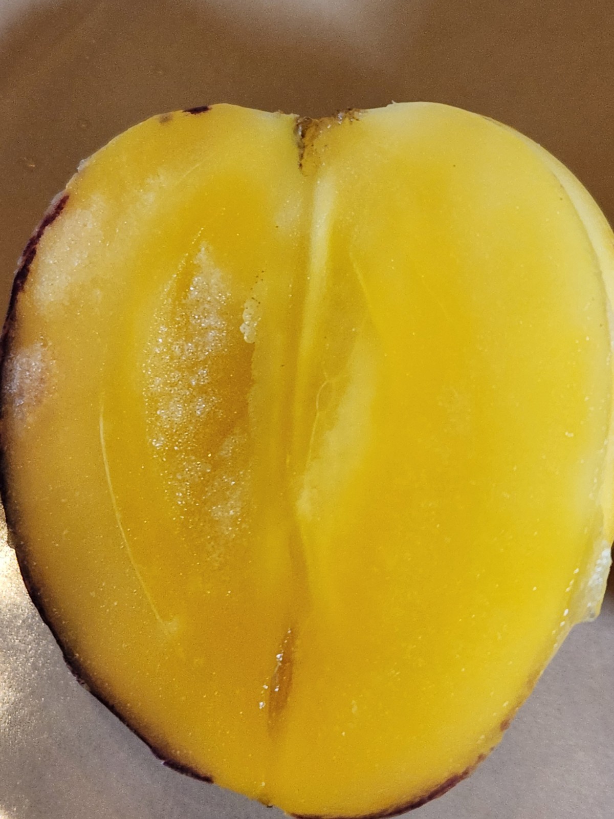 2 Sweet Pepino Melon Plants “HONEY GOLD” Variety Sweetest 人蔘果 Ginseng Fruit