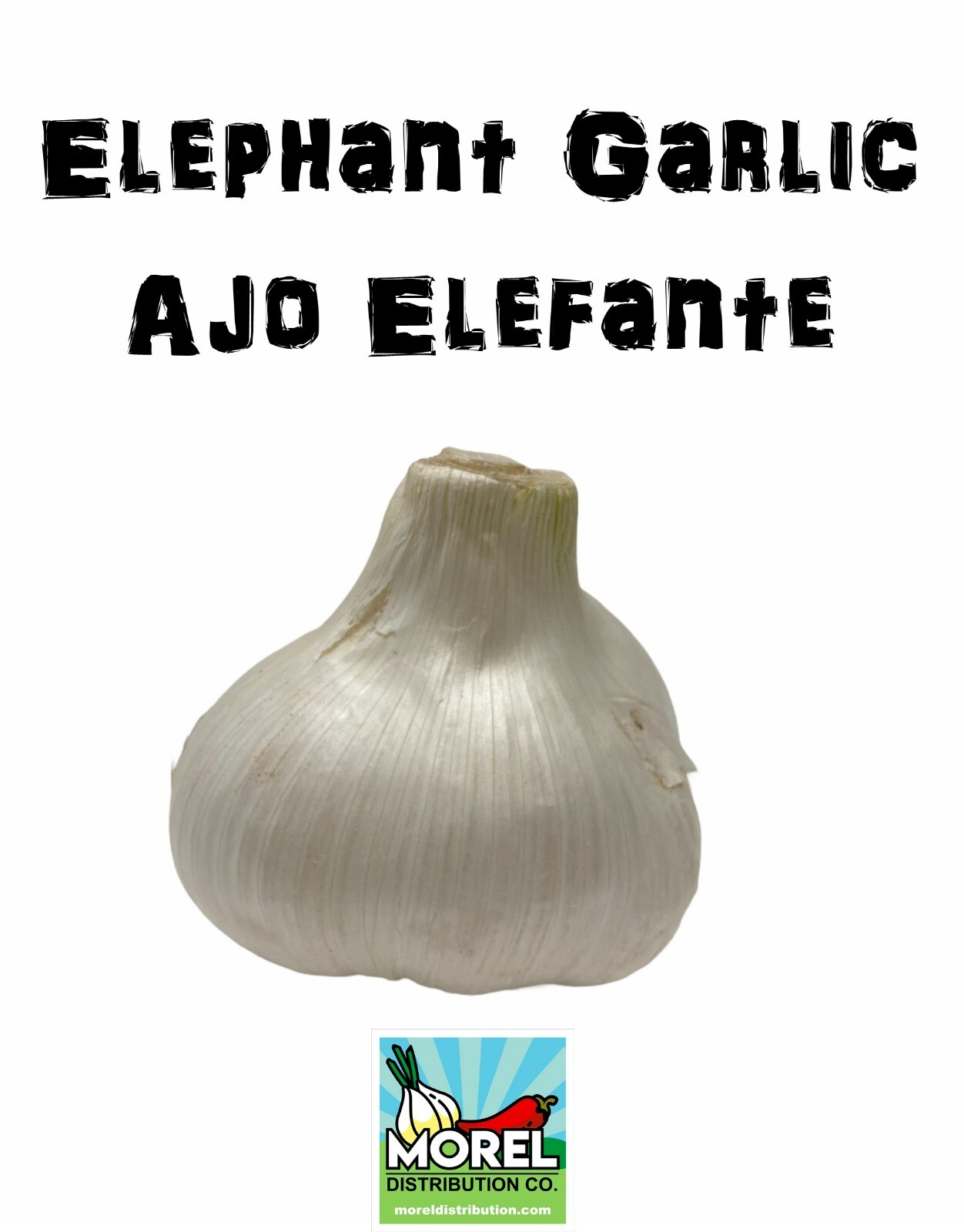 Elephant Garlic (Ajo Elefante) Sorted Bulbs! Great for Fall Planting!