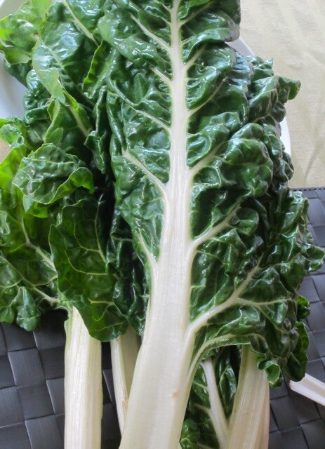 Fordhook Giant Swiss Chard 35 – 125 Seeds Heat Tolerant Salad Greens Heirloom