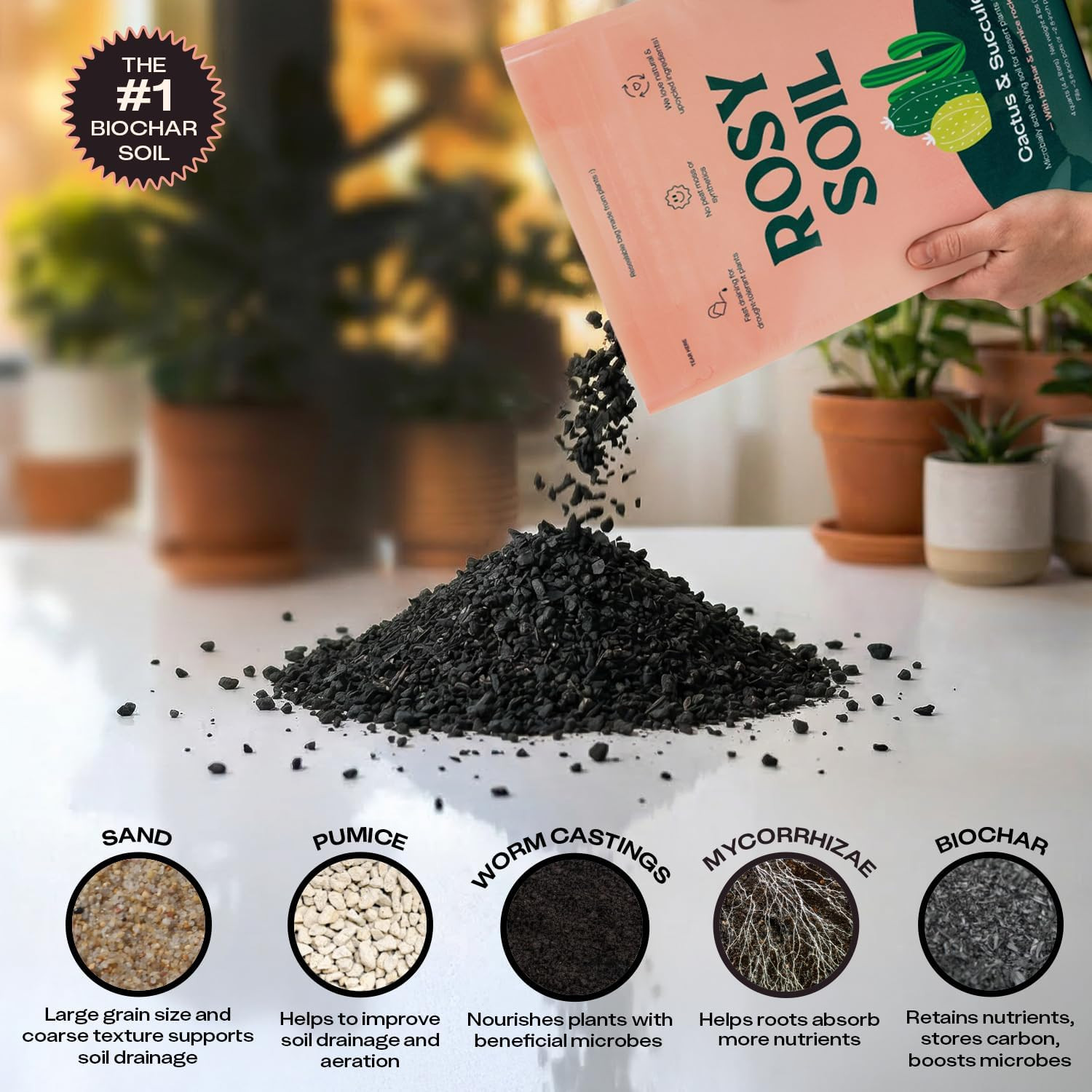 Cactus & Succulent Potting Mix, 4 Quarts | Organic Succulent Potting Soil, Chunk