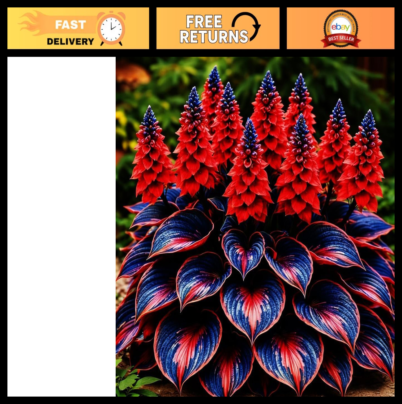 Hosta Bulb – Soft Green Foliage for Shaded Gardens, Perfect Shade Plant (Color 4