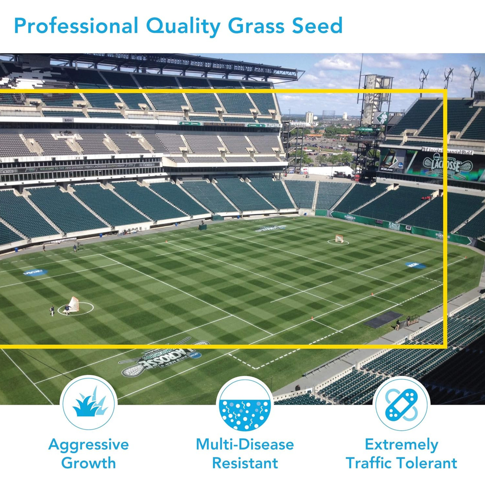 Barenbrug Turf Blue Grass with Yellow Jacket Seed Coating HGT Grass Seed, 25lb