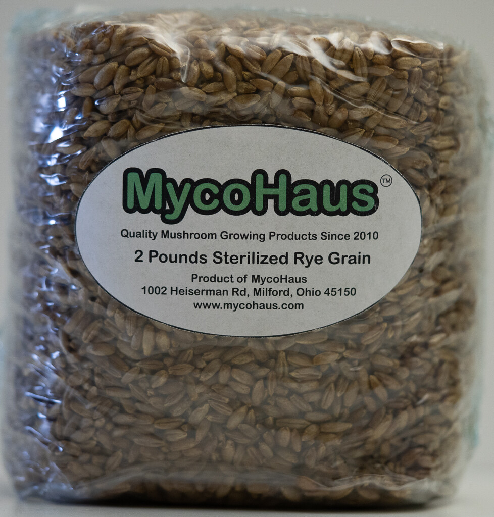 MycoHaus 8 lbs ( 4 pack ) sterilized rye grain berries mushroom spawn grow bag