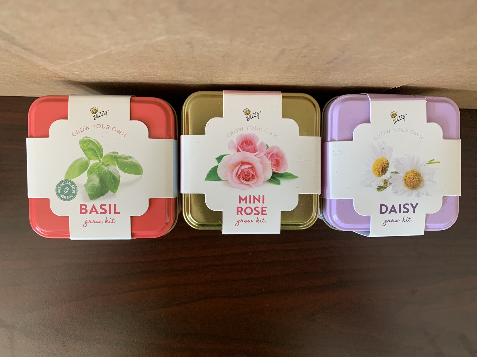 Buzzy Grow Your Own Grow Kit Mini Rose, Basil, & Daisy. Planter seeds & medium