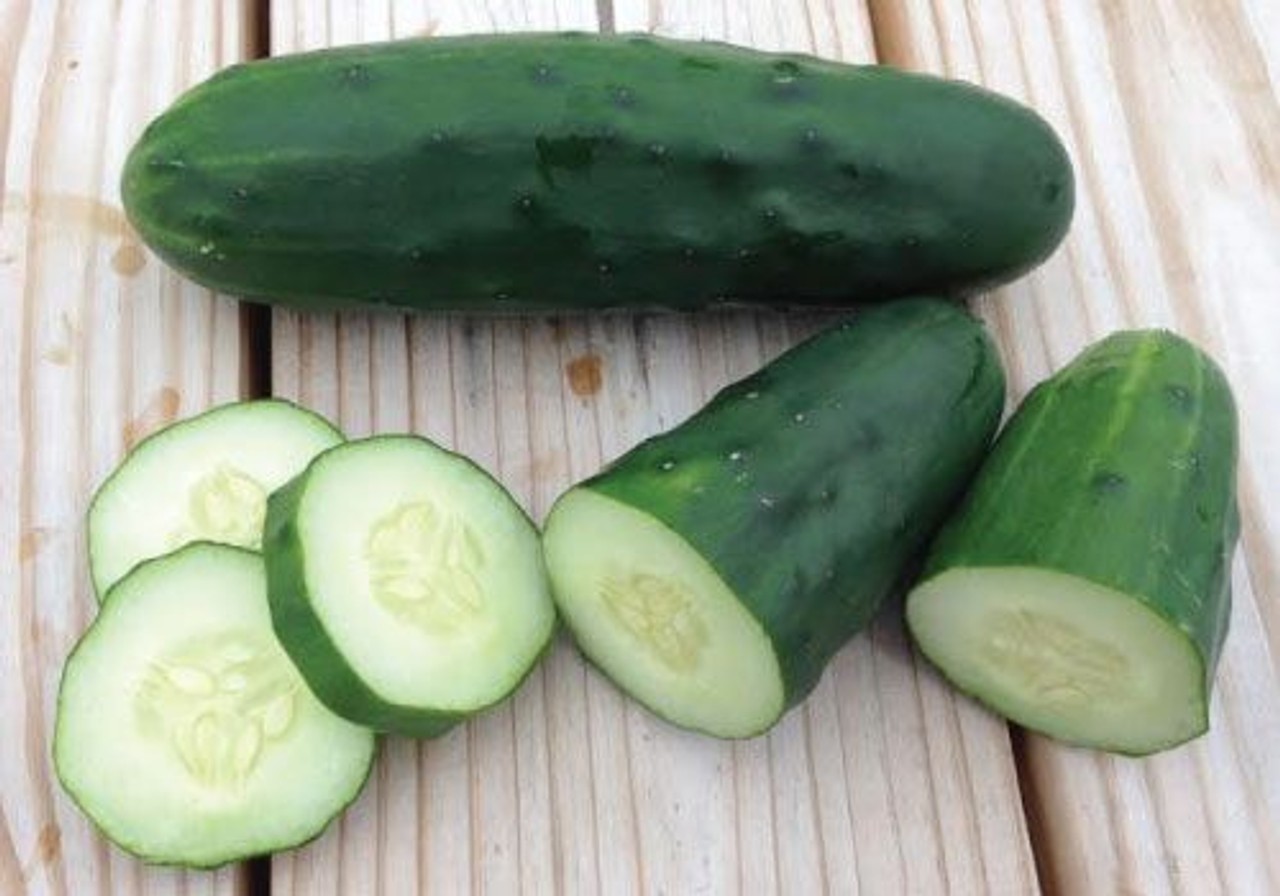 Cucumber Seeds (Marketmore Slicing – reliable classic)