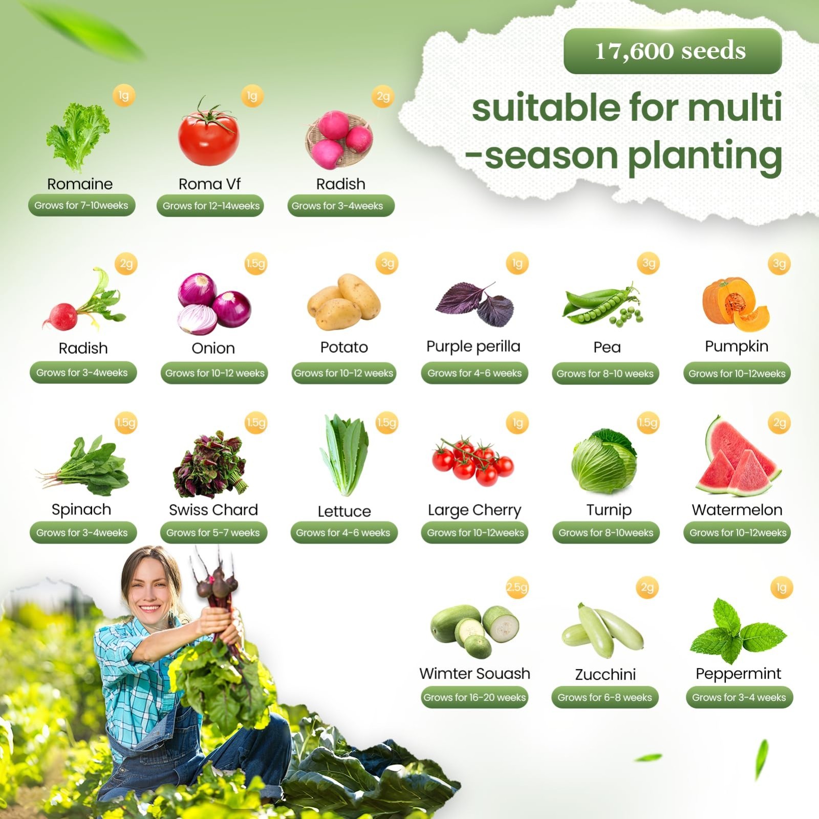 36 Vegetable Variety Pack – 17,600+ Non-GMO Heirloom Seeds for Indoor/Outdoor Ga