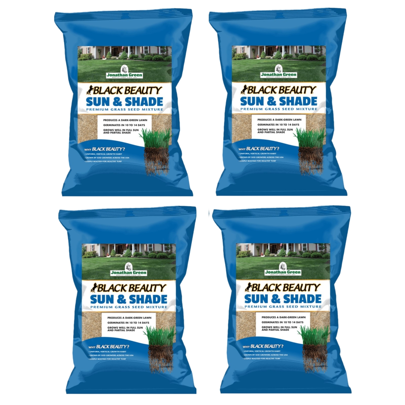 Jonathan Green (#12002) Black Beauty Sun & Shade Grass Seed, 3lb bag, 4 pack