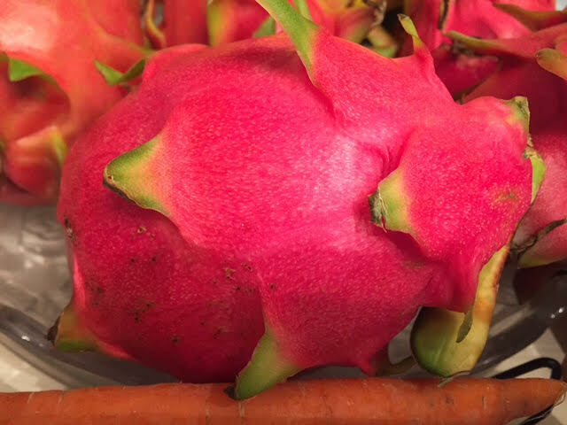 Red Dragon Fruit 2 Cutting 9-14″. Purple Haze