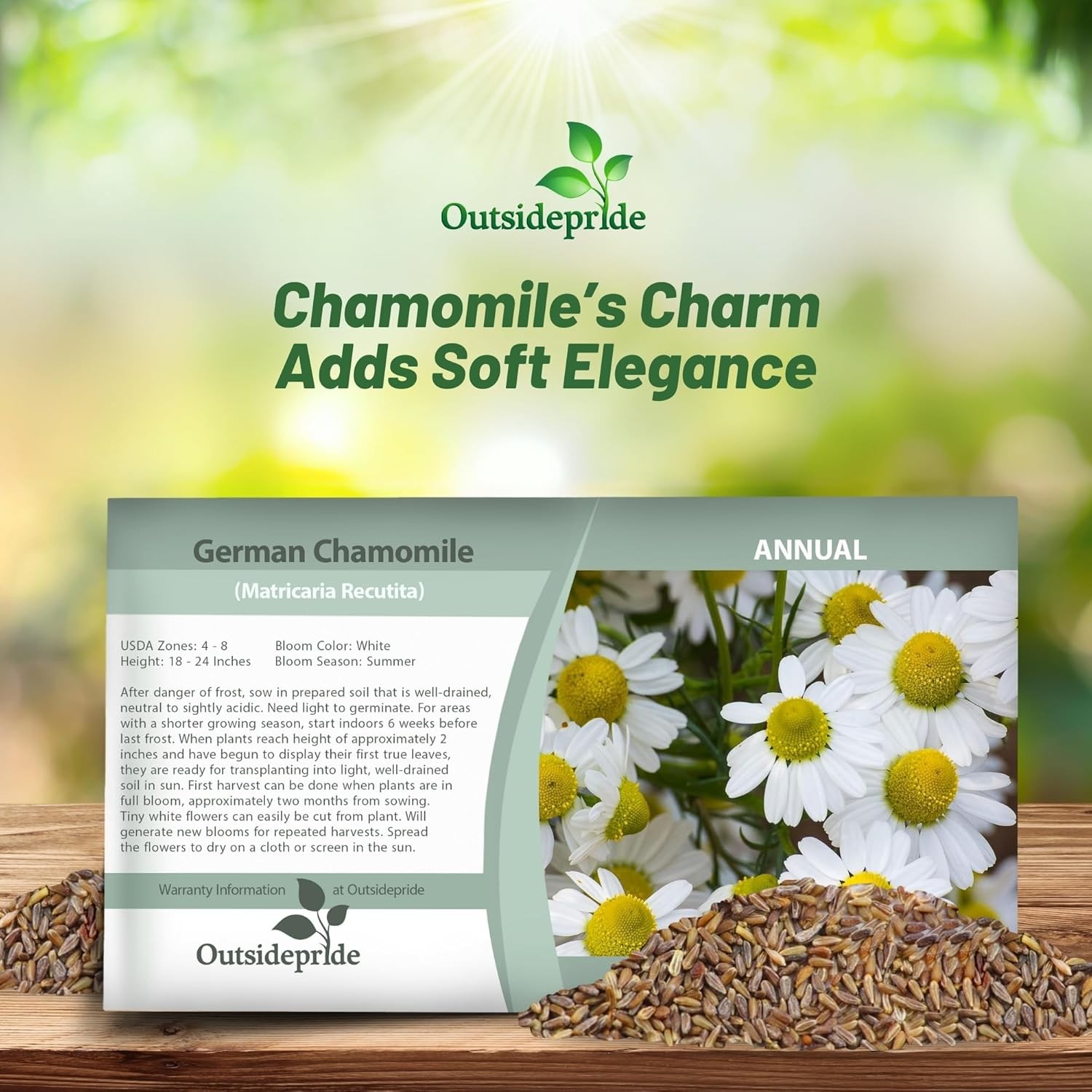 10000 Seeds Chamomile Seeds – German Chamomile Herb Seed