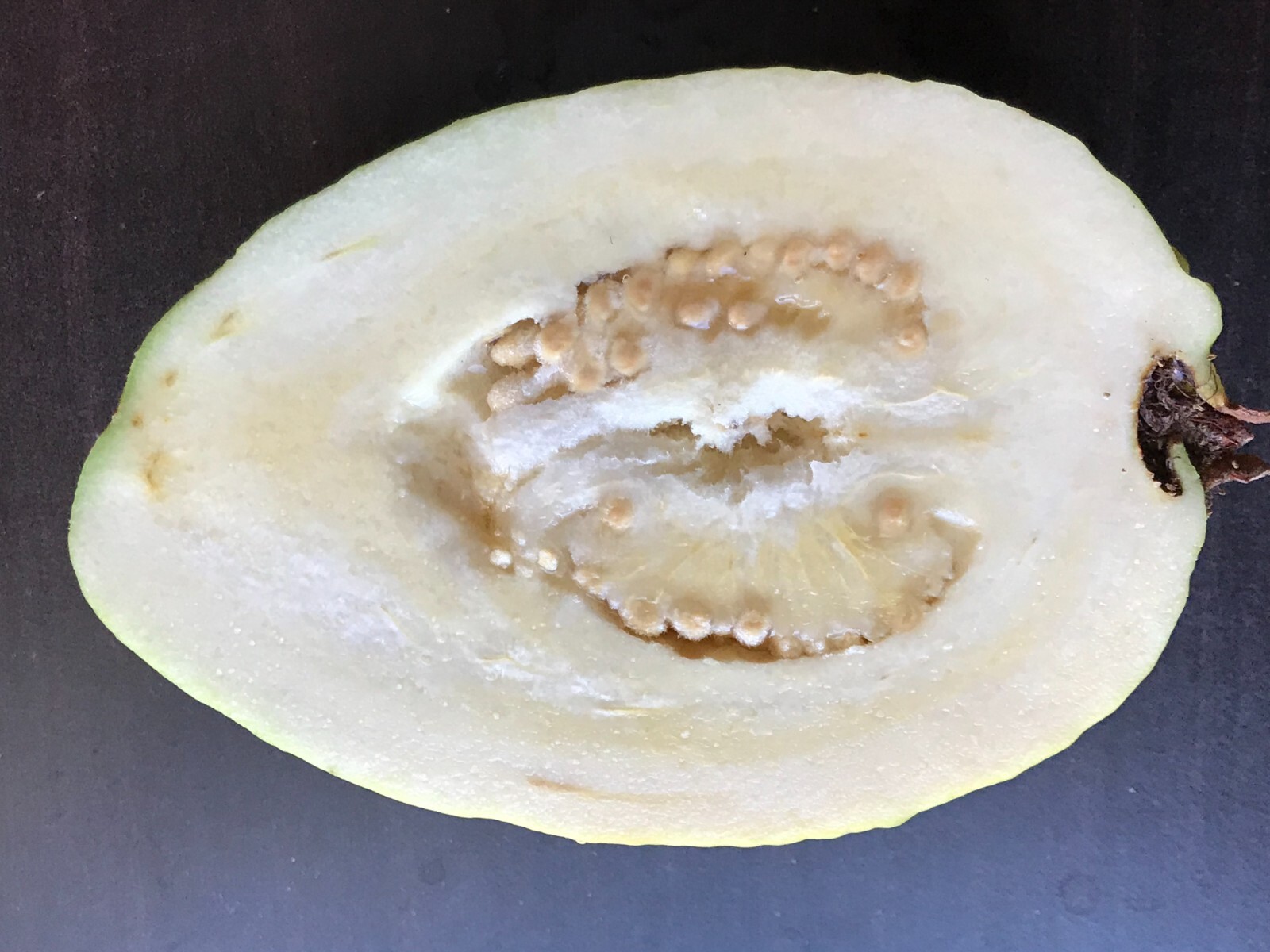 50 Pcs Rare Guava, Psidium Guajava Seeds, High Germination Seeds