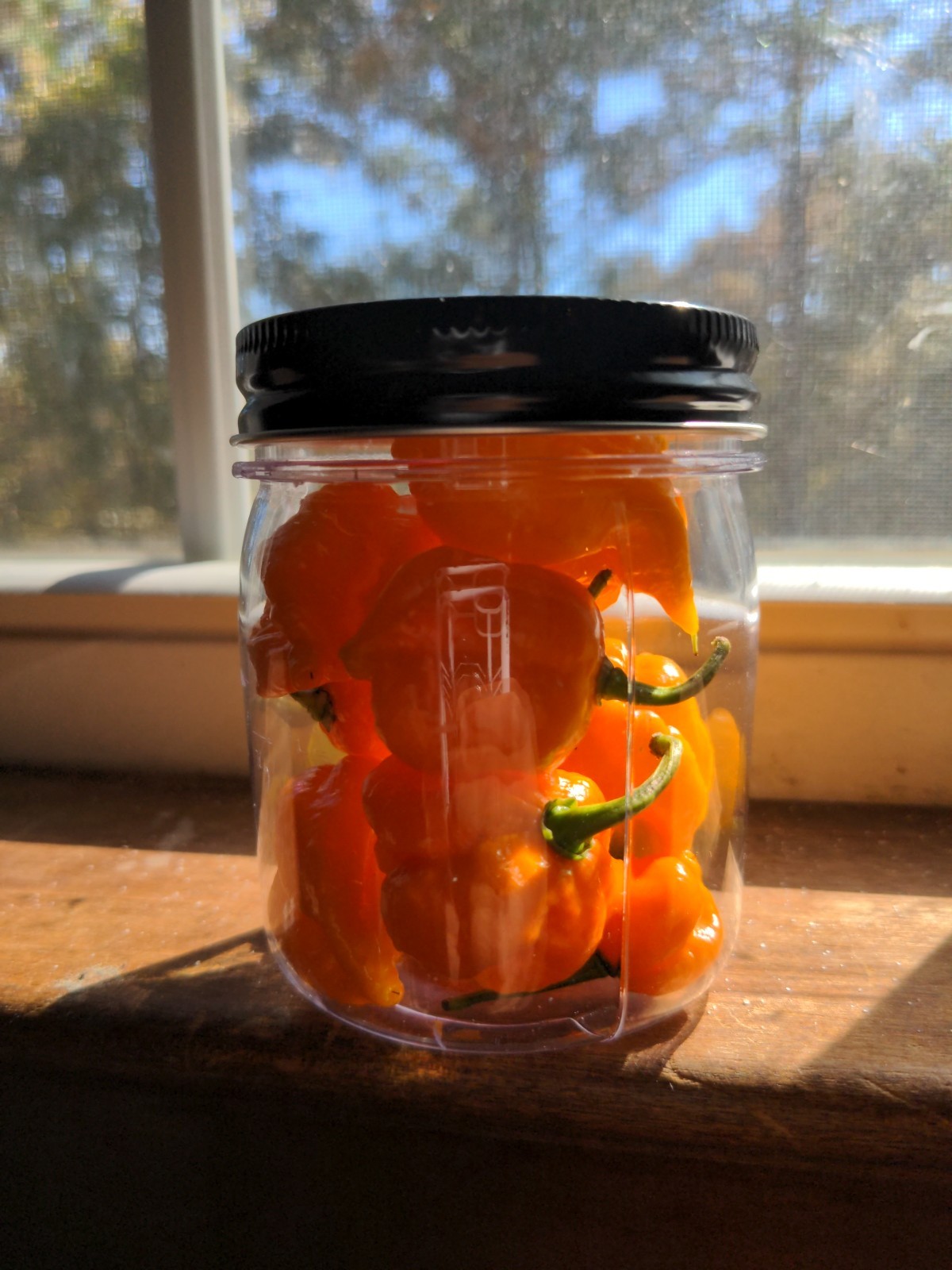 Garden Fresh Yellow carolina reaper pepper