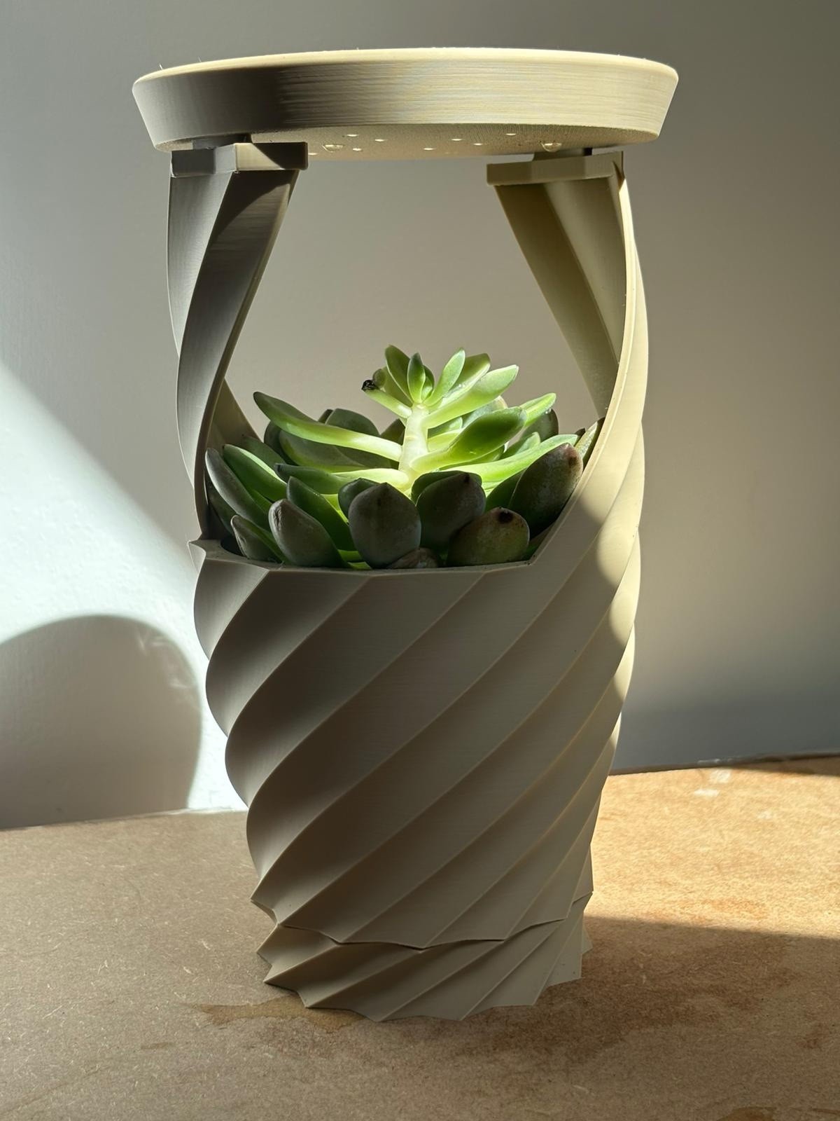 Green Succulent Potted Plant, Indoor Evergreen in Beige Spiral Decorative Pot