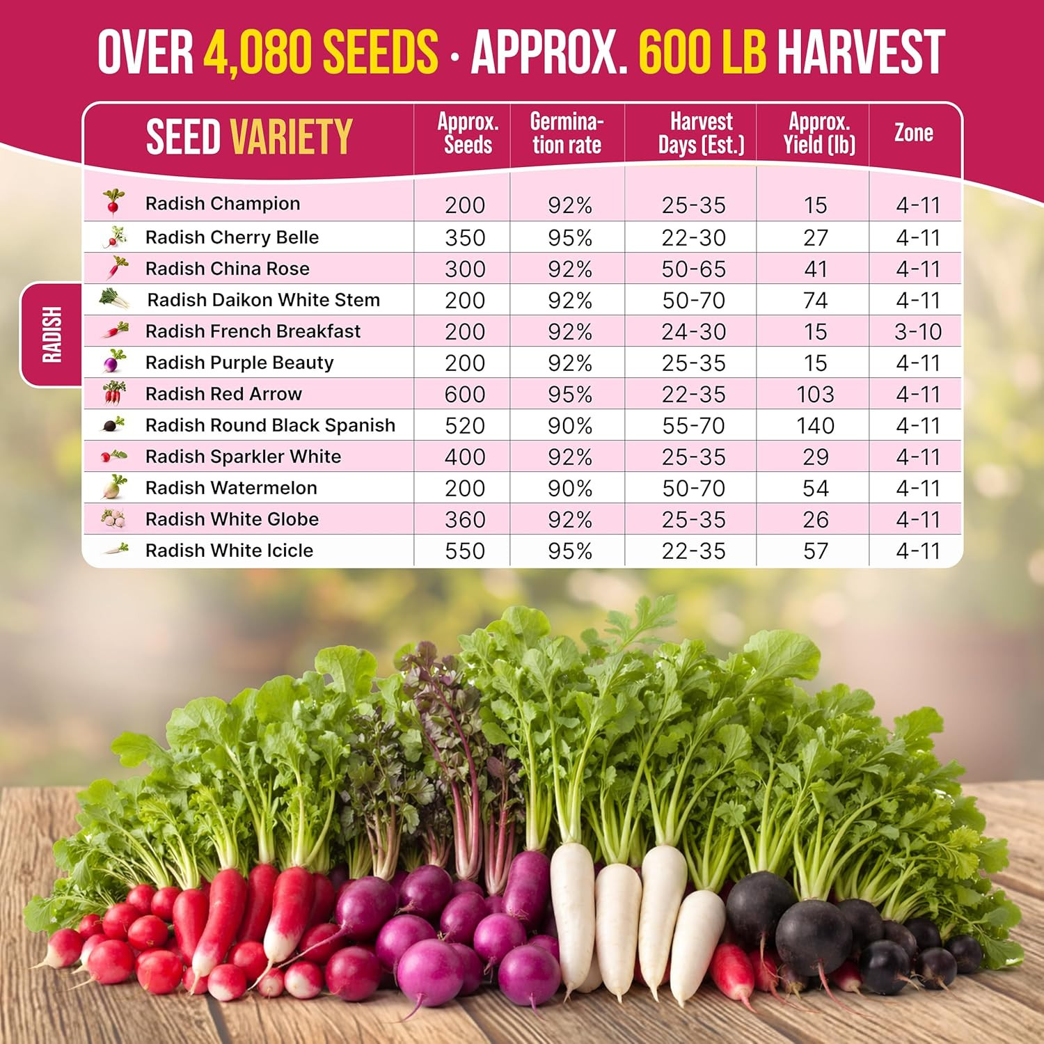12 Radish Seeds Variety Pack for Indoor & Outdoors 2400+ Heirloom Non-Gmo Radish