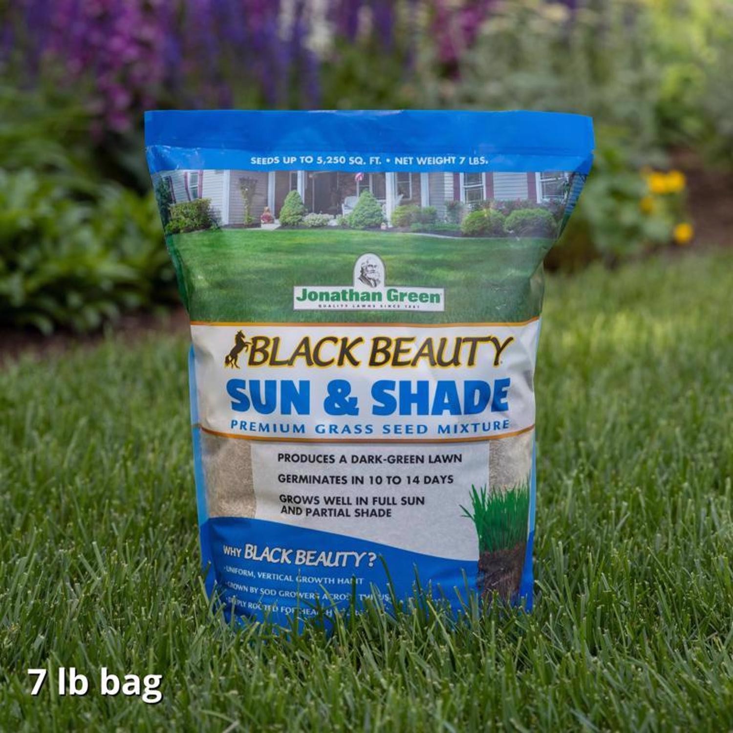 Jonathan Green 12005 Black Beauty Sun and Shade Grass Seed Mixture 7 lbs.