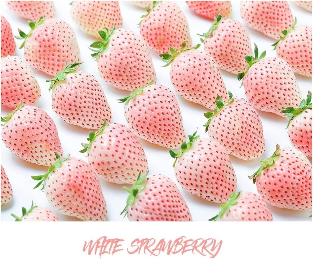 800 Mixed Strawberry Seeds – 4 Colors – Non-GMO Heirloom Perennial Mix
