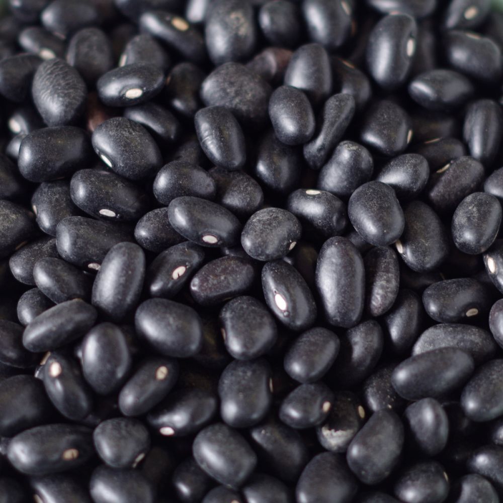 Black Turtle Bean Seeds, NON-GMO, Shelling Dry Bean, Frijoles Negros, FREE SHIP