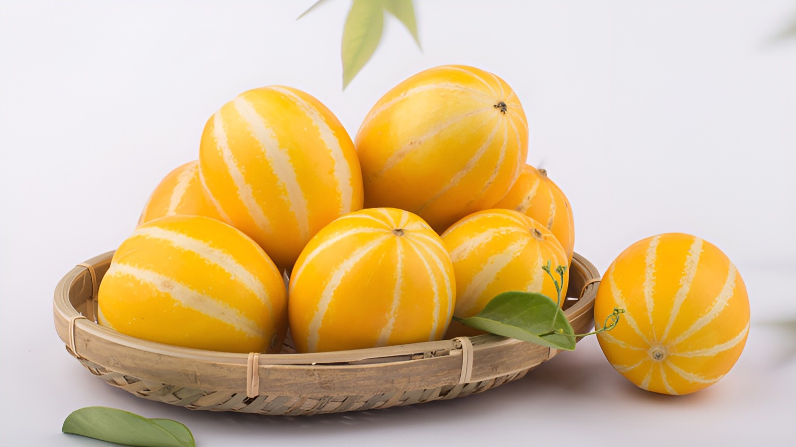 40 Heirloom Early Silver Line Melon Seeds – 2-3Lb Super Sweet Korean Melon