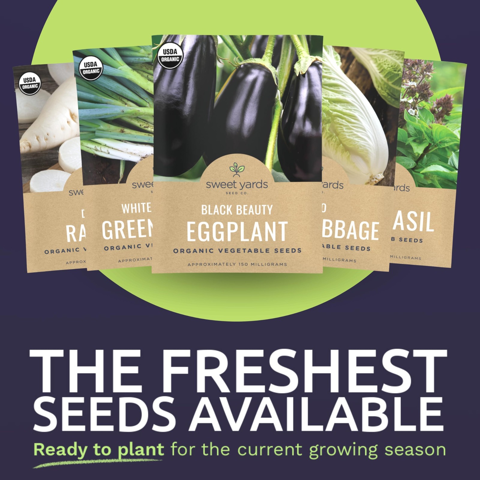 Organic Asian Garden Seeds Variety Pack – 10 Individual Packs – 2026 Season…