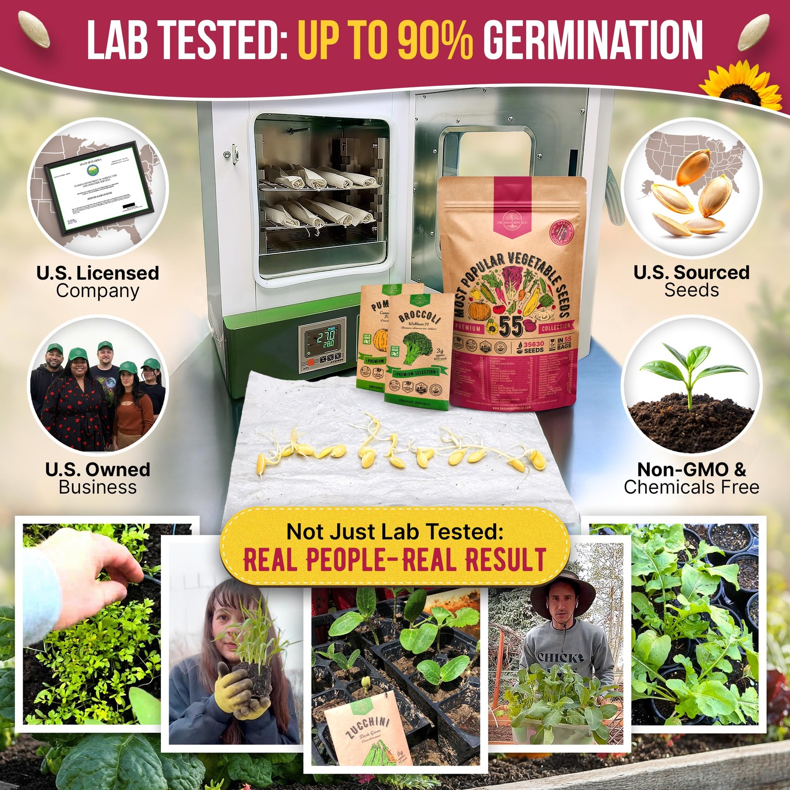 55 Vegetable Seeds Variety Pack – 35,600+ Non-GMO Green, Red, Purple, Yellow