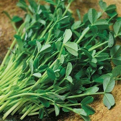 4 oz Brown Speckled Pea