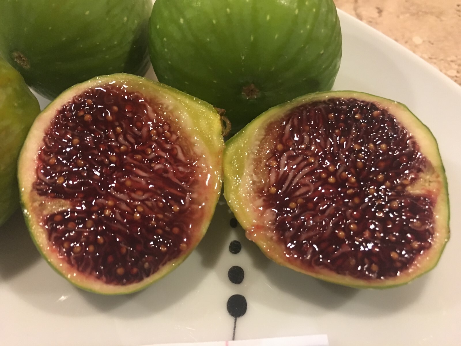 Yolo Bypass Fig (TP-FG-0004) (Two cuttings)