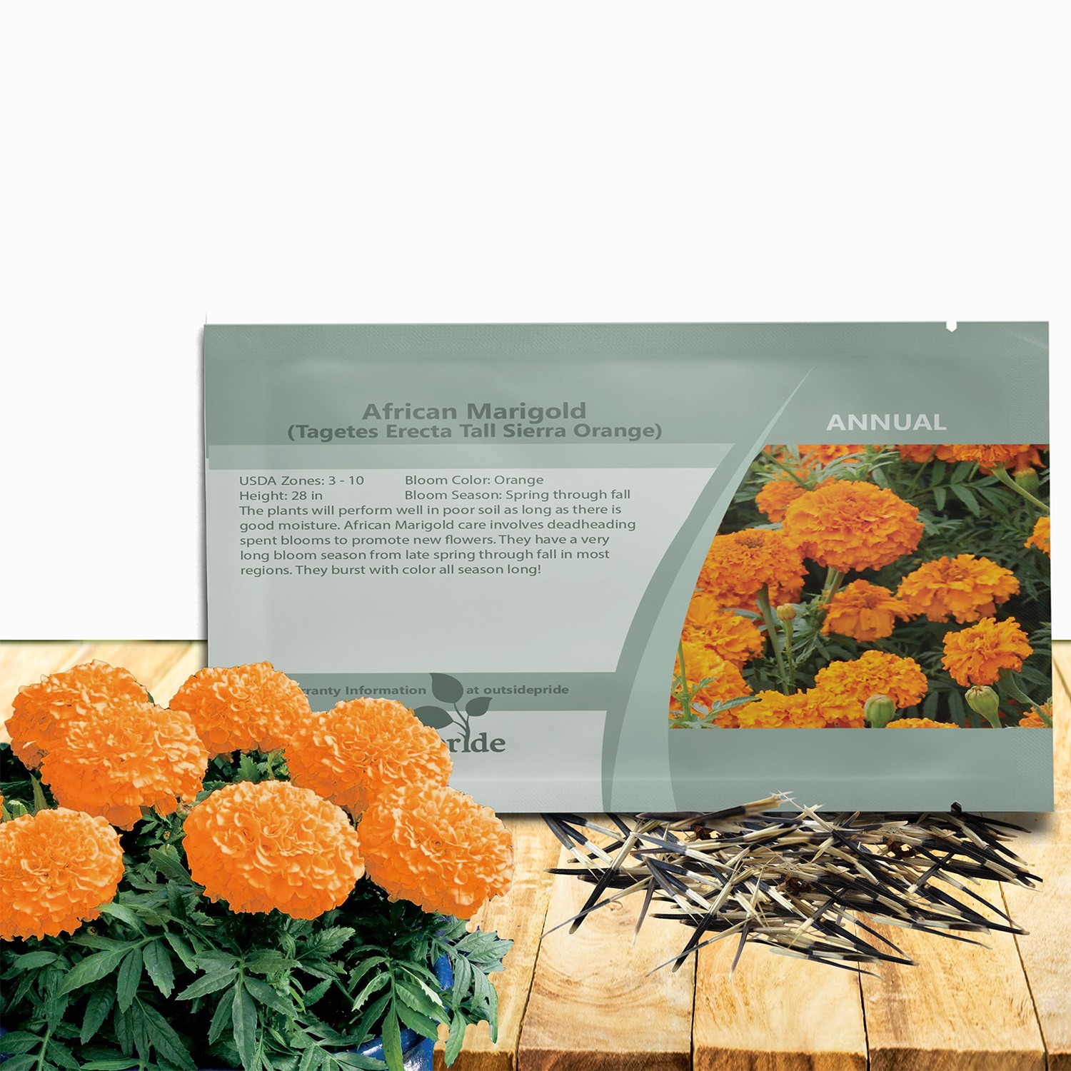 2000 Seeds Tagetes Erecta African Marigold Orange Garden Flower Plant Seed