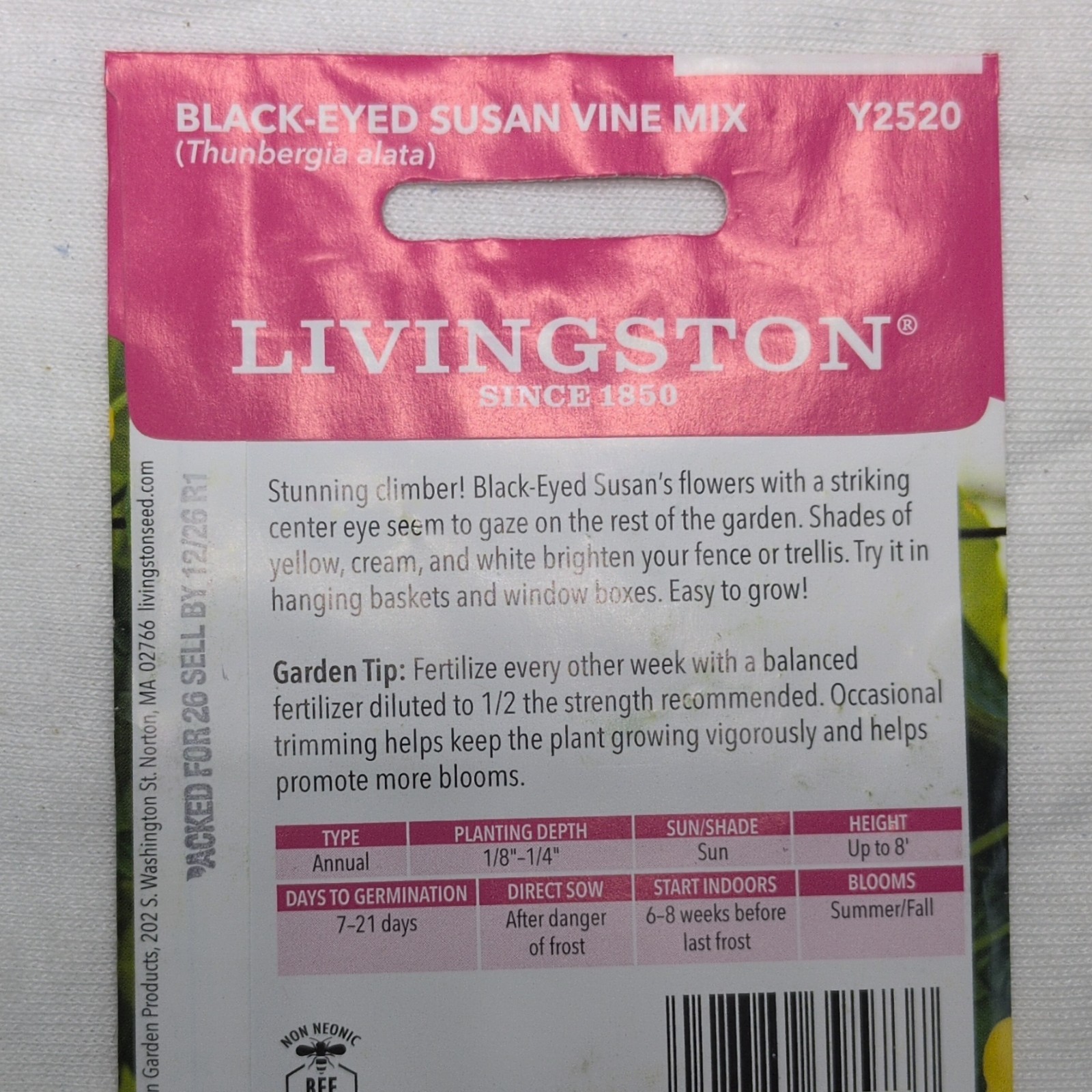 Livingston Black-Eyed Susan Vine Mix Annual Yellow White Climbing Full Sun Y2520