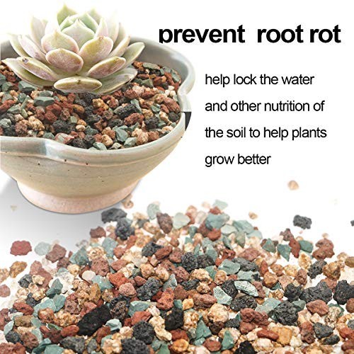 Horticultural Lava Rock Pebbles for Succulents & Cactus – 6lb Potting Soil Amend