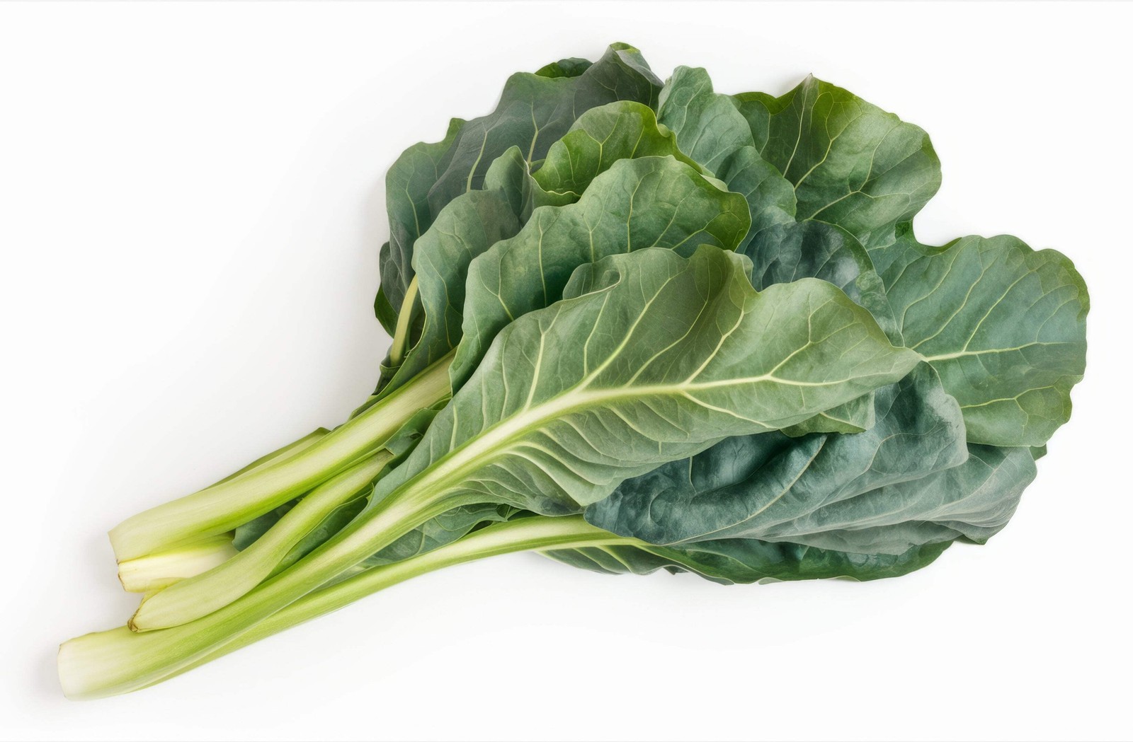 1500 MORRIS HEADING COLLARDS Collard Green Brassica Oleracea Vegetable Seeds