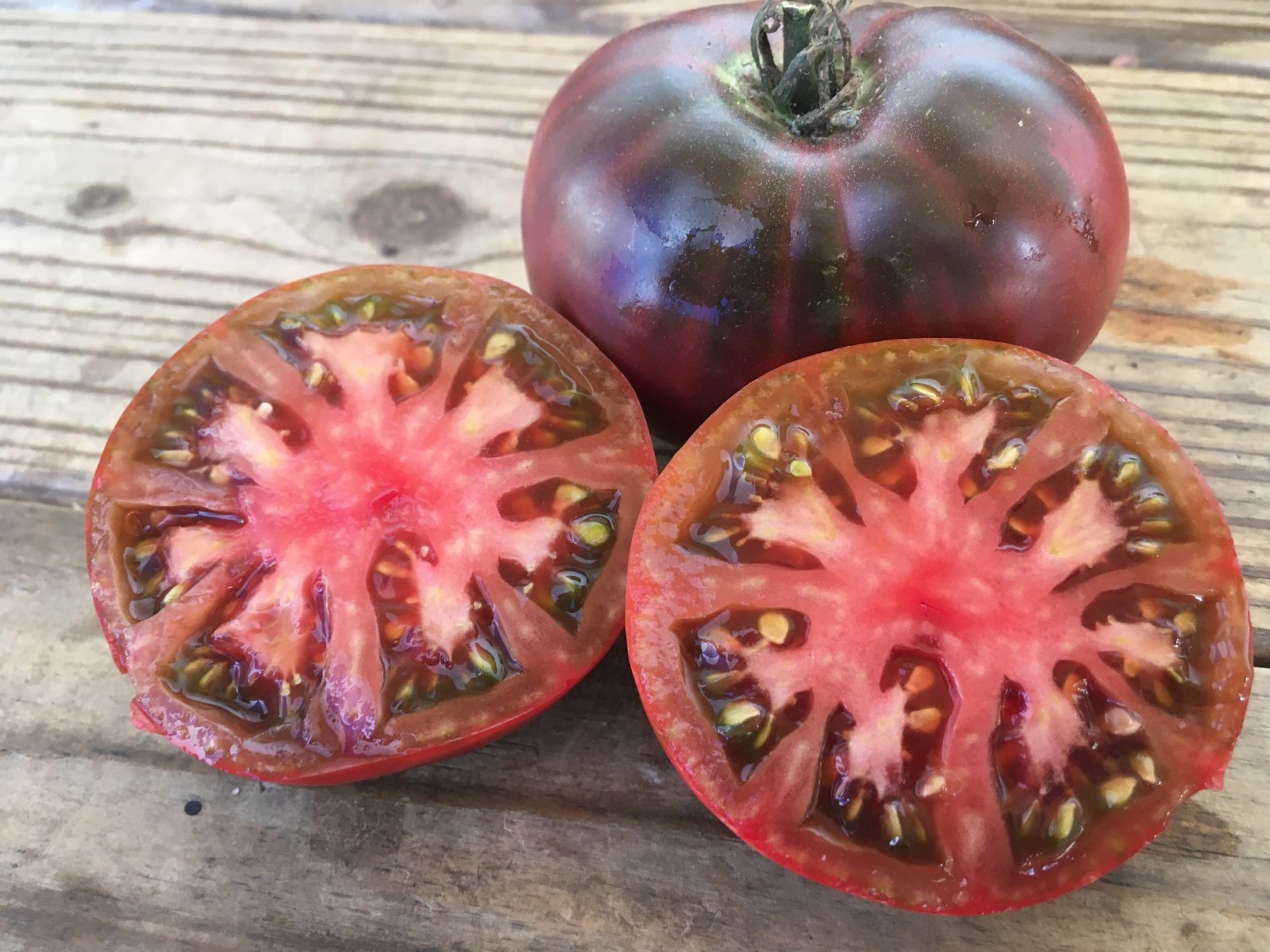 CHEROKEE PURPLE HEIRLOOM TOMATO LIVE STARTER PLANTS ABOUT 4-6 INCHES SET OF 2