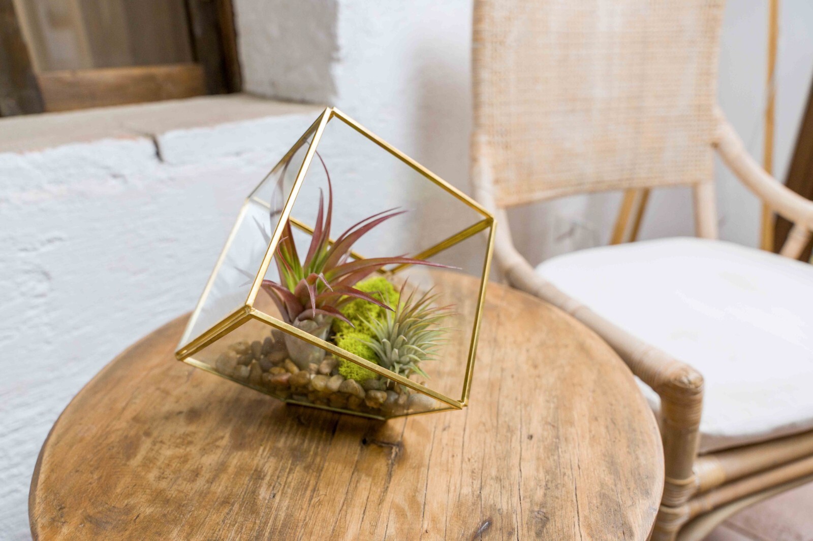 Heptahedron Air Plant Terrarium Kit – Red Abdita & Ionantha – Indoor & Outdoor