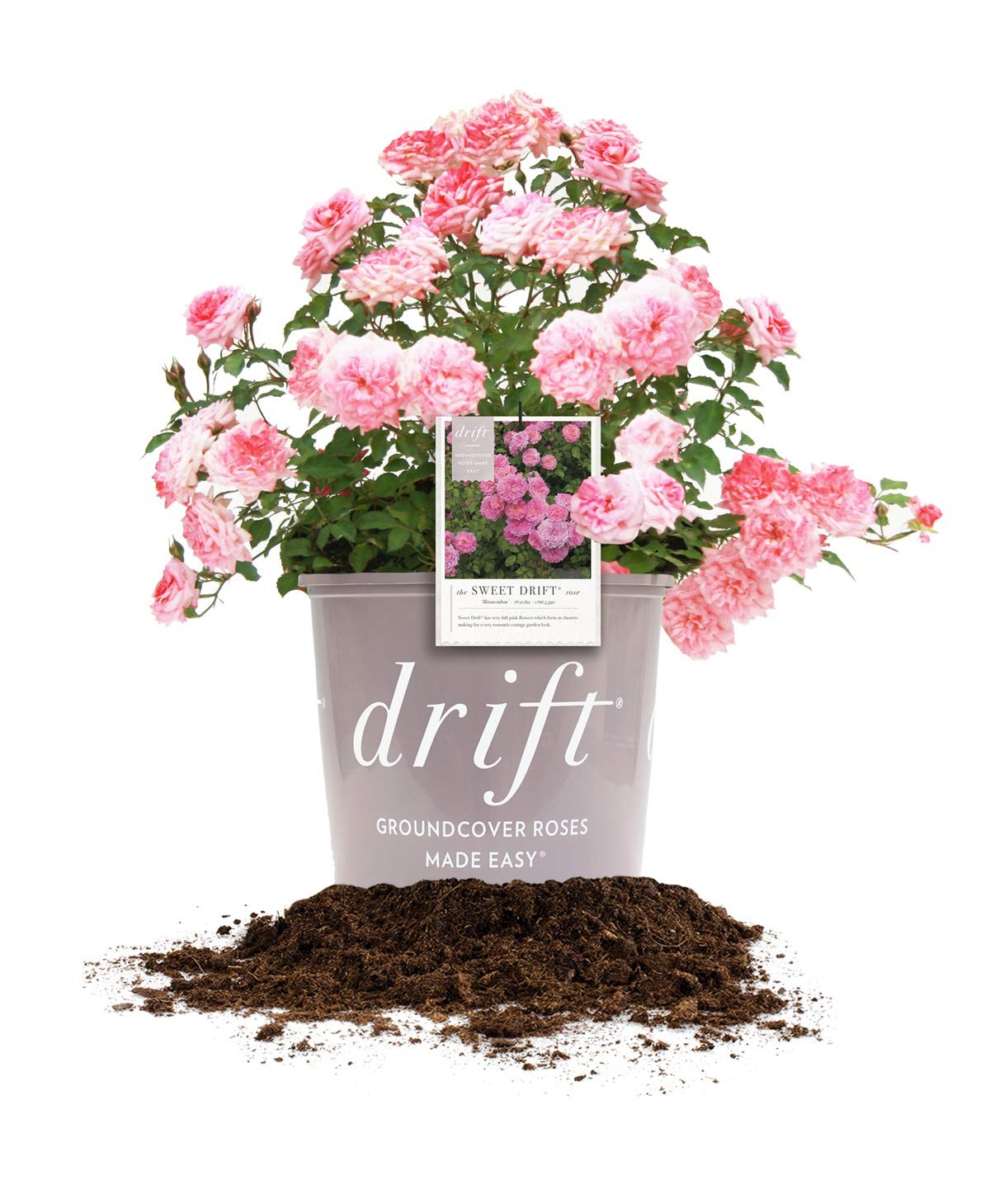 “Sweet Drift 3 Gallon Premium Quality Floral Arrangement Solution”