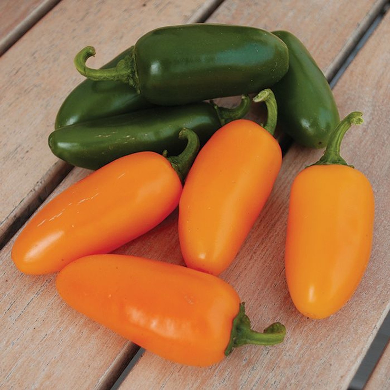 Pumpkin Spice SpiceJalapeno F1 Jalapeno Pepper: 10 Seeds, Free Shipping!