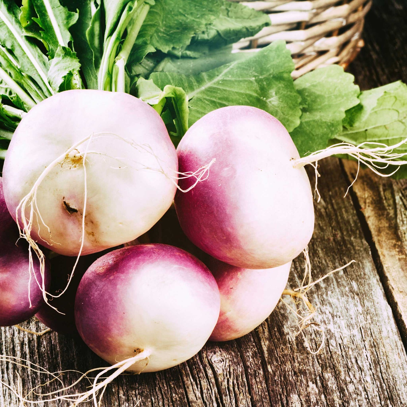 500+Turnip Seeds Purple Top White Globe Turnip Seed(Brassica rapa) Vegetable #26