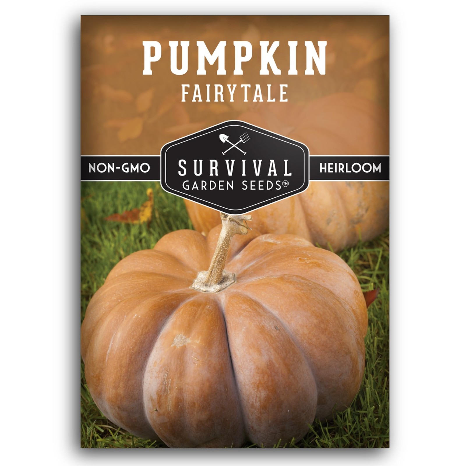 Fairytale Pumpkin Seeds for Planting | Musquée de Provence Heirloom Orange