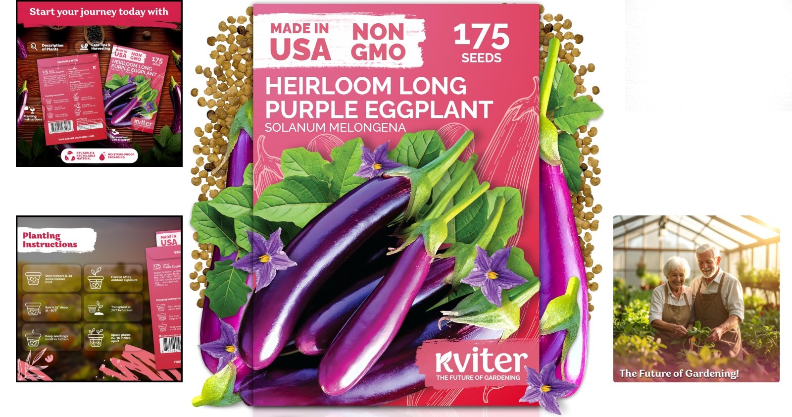 Compact Dark Purple Italian Eggplant Seeds – 175 Heirloom Seeds for Small Spaces