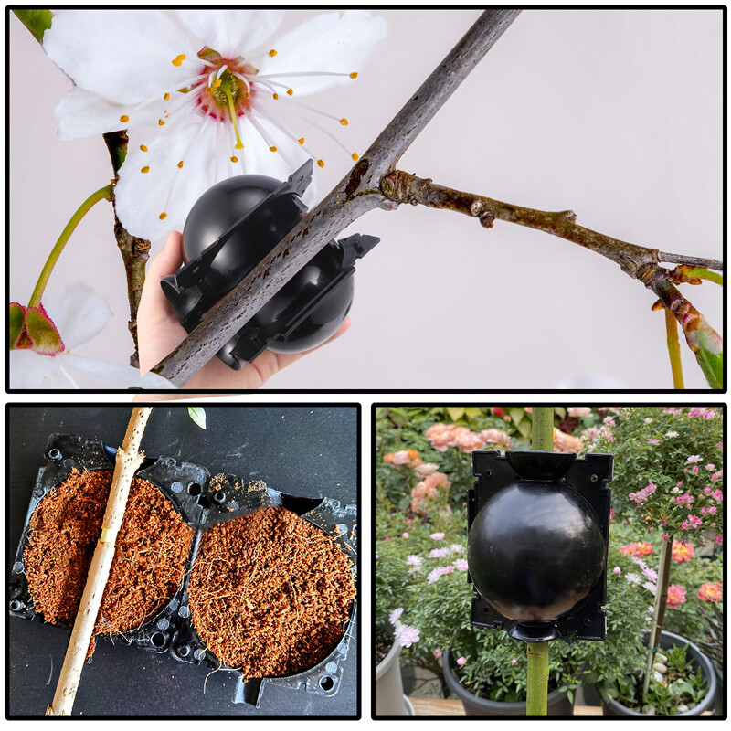 Tree Root Growing Box Rooting Ball Grafting Tool High Pressure Plant Propagation