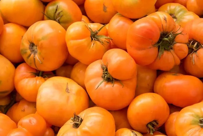 45 ORGANIC Non-GMO Kentucky Beefsteak Tomato Seeds- Seeds Of Tomorrow