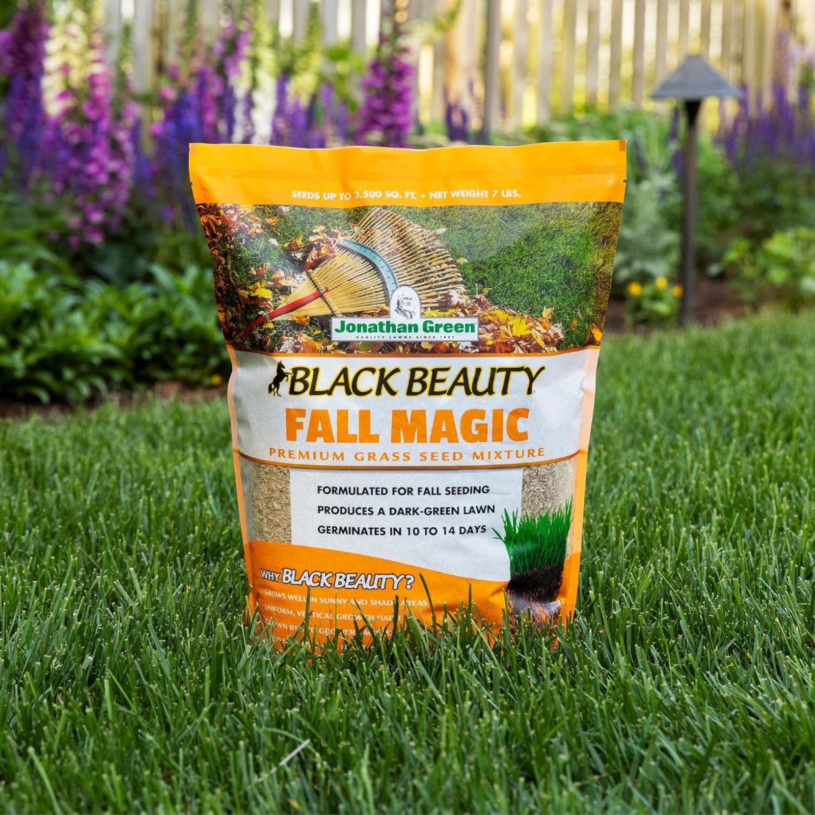 Jonathan Green (#10768) Black Beauty Fall Magic Grass Seed, 7# bag