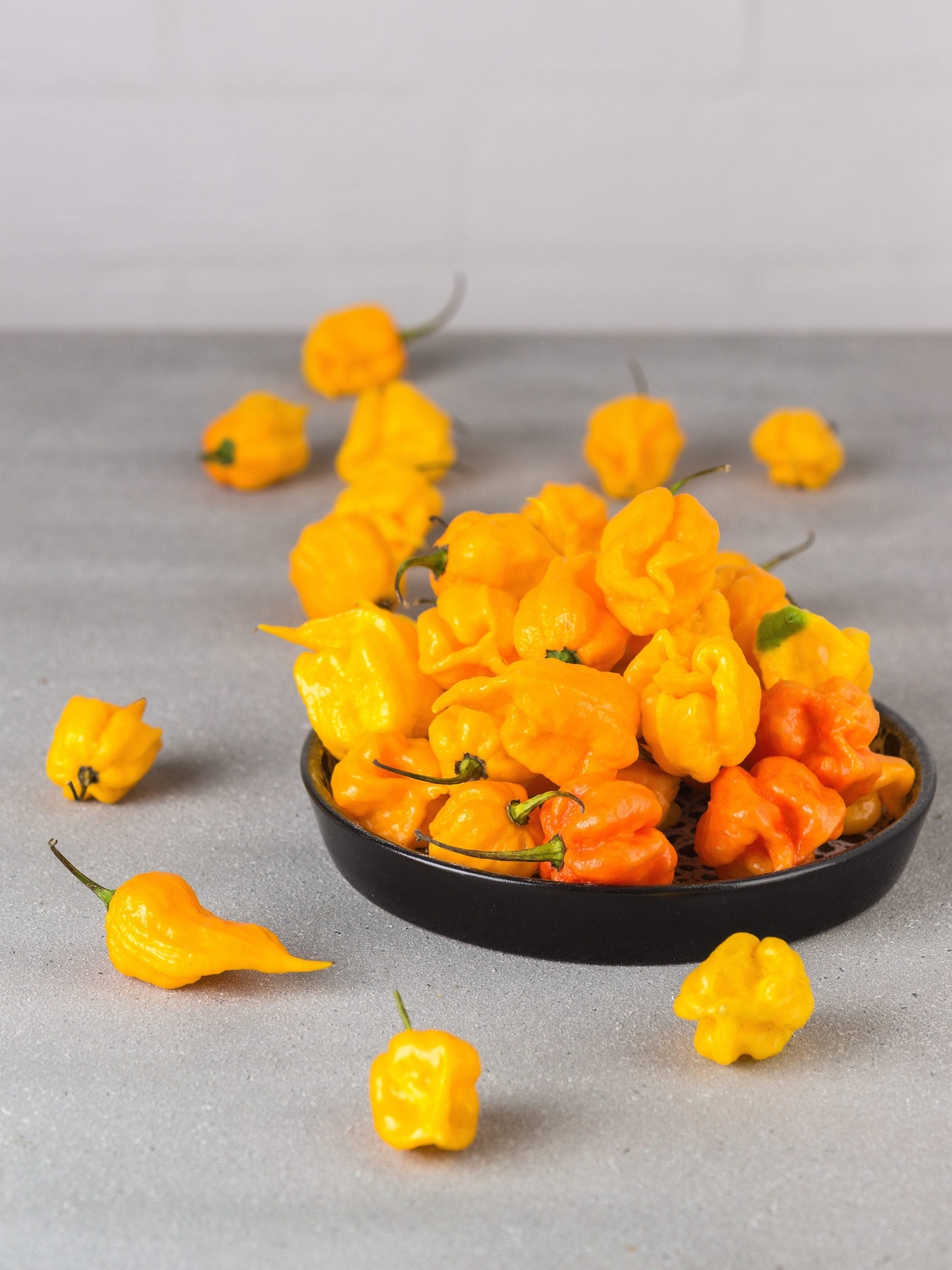 10 Yellow CAROLINA REAPER PEPPER World’s Hottest Capsicum Chinense Chili Seeds