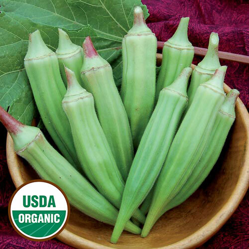 Okra Clemson Spineless Heirloom 50 Seeds Garden Planting Non-GMO