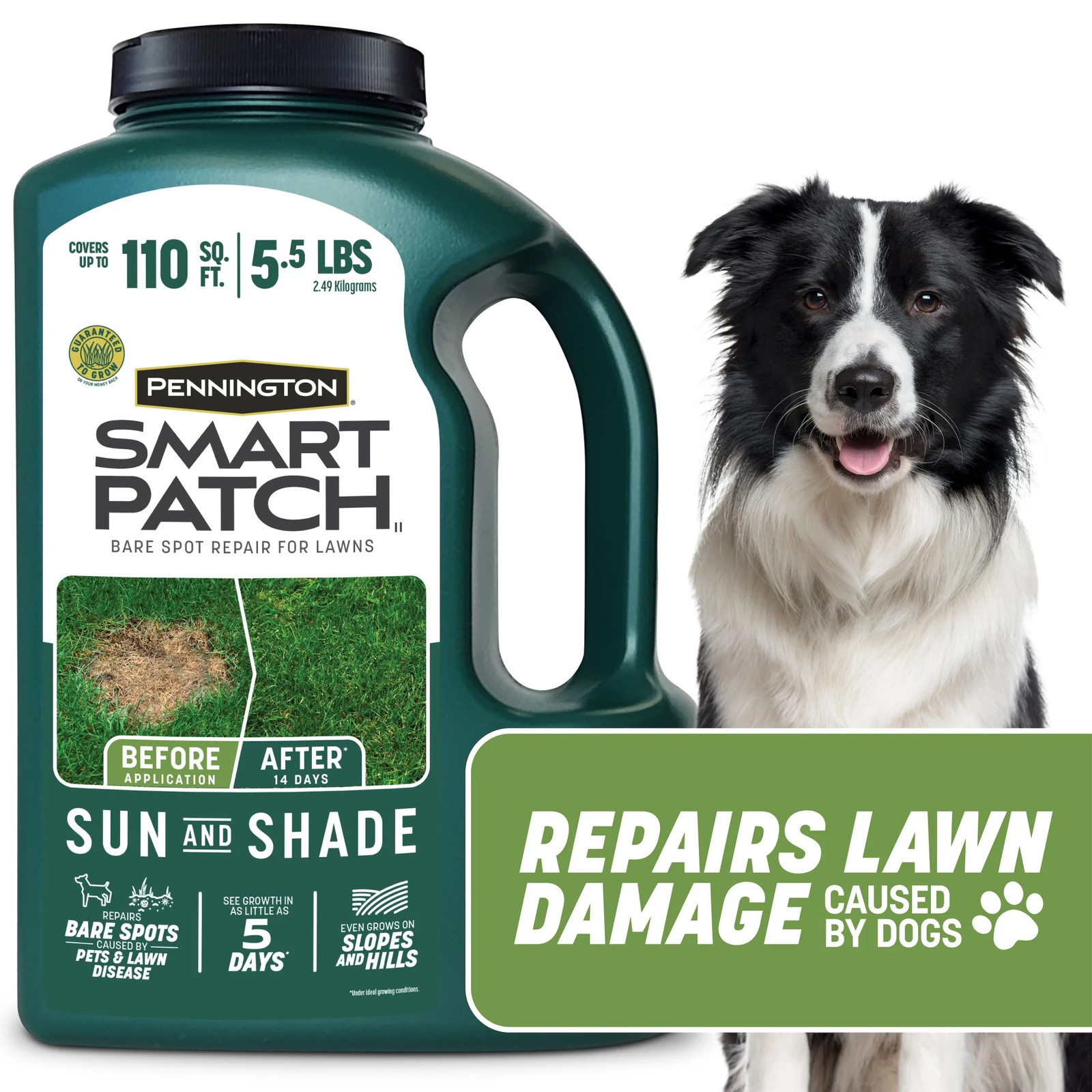 Smart Patch Sun and Shade Grass Seed Mix, for Sun to Partial Shade, 5.5 Lb.