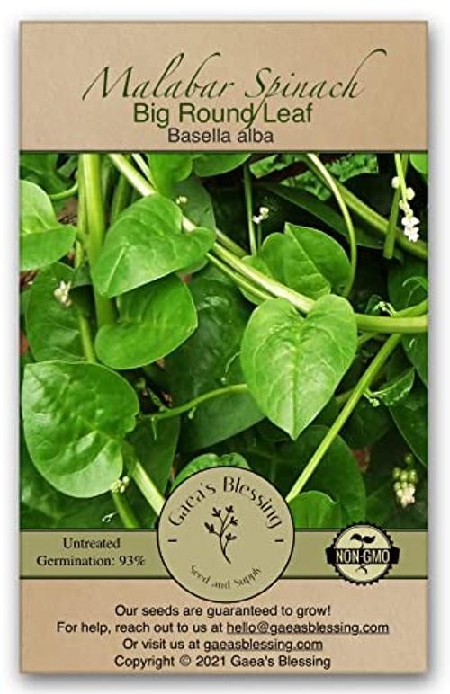 Seeds – Malabar Spinach Seeds – Non-GMO Seeds with Easy to Big Round Leaf
