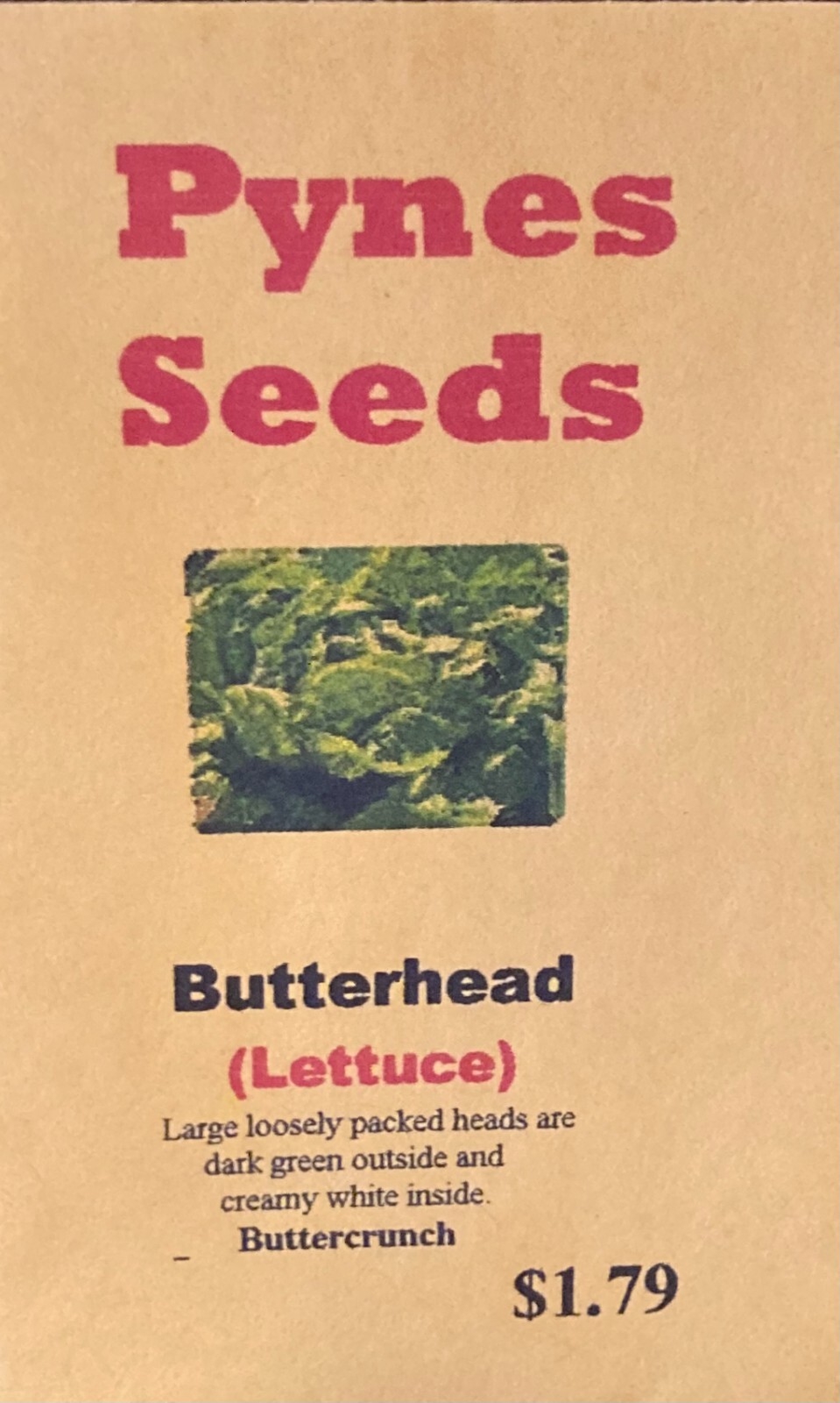 Buttercrunch Butterhead Lettuce Seeds, NON-GMO, Heirloom, over 400 seeds