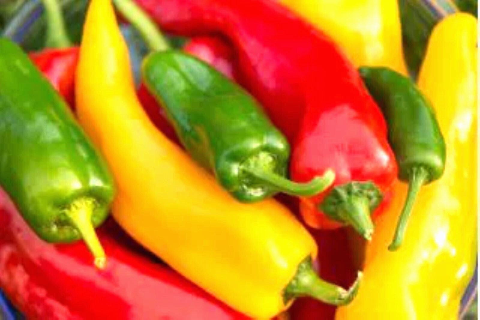 CORNO DI TORO MIX SWEET PEPPER 50+ SEEDS NON-GMO–BUY 4 ITEMS FREE SHIPPING